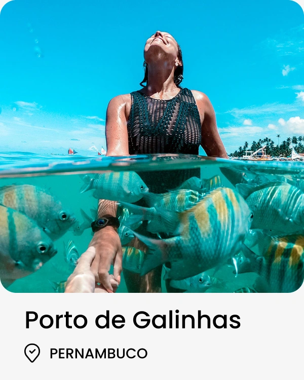 DESTINO 11